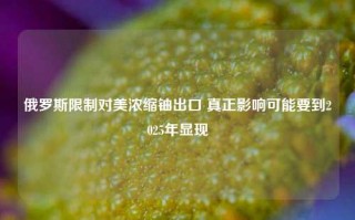 俄罗斯限制对美浓缩铀出口 真正影响可能要到2025年显现