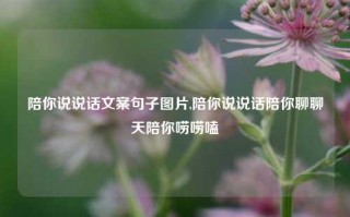 陪你说说话文案句子图片,陪你说说话陪你聊聊天陪你唠唠嗑