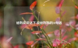 给妈说说话下,说给妈妈的10句话