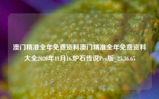 澳门精准全年免费资料澳门精准全年免费资料大全2020年11月16,炉石传说Pro版_25.36.65