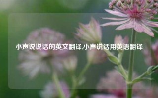 小声说说话的英文翻译,小声说话用英语翻译