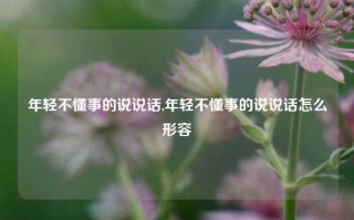 年轻不懂事的说说话,年轻不懂事的说说话怎么形容