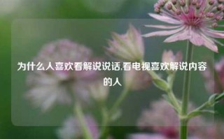 为什么人喜欢看解说说话,看电视喜欢解说内容的人