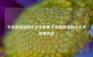 不会说说话的小王子故事,不会说说话的小王子故事内容