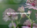 图片说说话,图片说说带图照片