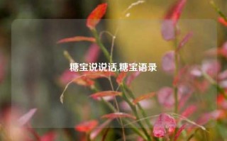 糖宝说说话,糖宝语录