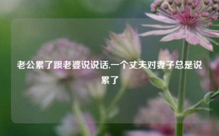 老公累了跟老婆说说话,一个丈夫对妻子总是说累了