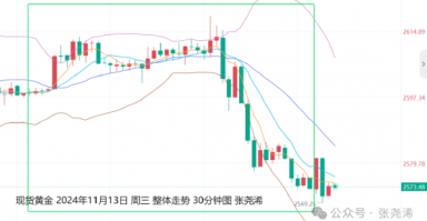 张尧浠:美指月图2年背离 金价年底将再迎看涨攀升机会