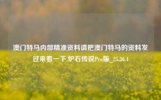 澳门特马内部精准资料请把澳门特马的资料发过来看一下,炉石传说Pro版_25.36.4