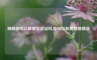 晓晓你可以跟我说说话吗,你可以和我说悄悄话