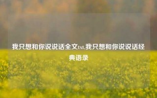 我只想和你说说话全文txt,我只想和你说说话经典语录