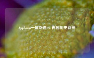 AppLovin一度涨逾6% 再创历史新高