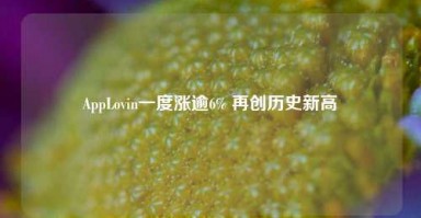 AppLovin一度涨逾6% 再创历史新高