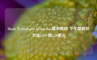 Shoals Technologies Group, Inc.盘中异动 下午盘股价大涨5.05%报5.20美元