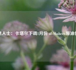 消息人士：卡塔尔下调1月份 al-Shaheen原油价格