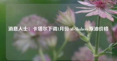 消息人士：卡塔尔下调1月份 al-Shaheen原油价格