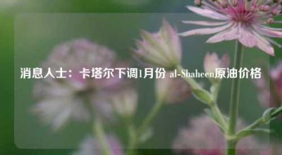 消息人士：卡塔尔下调1月份 al-Shaheen原油价格