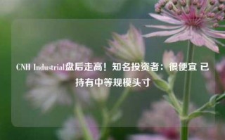 CNH Industrial盘后走高！知名投资者：很便宜 已持有中等规模头寸