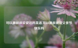 可以跟叔叔说说话吗英语,可以跟叔叔说父亲节快乐吗