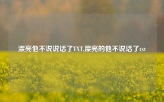 漂亮他不说说话了TXT,漂亮的他不说话了txt