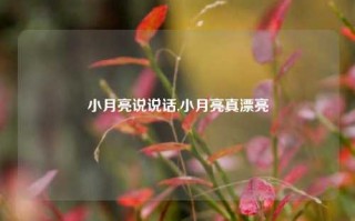 小月亮说说话,小月亮真漂亮