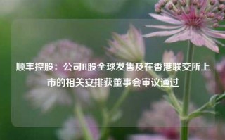 顺丰控股：公司H股全球发售及在香港联交所上市的相关安排获董事会审议通过