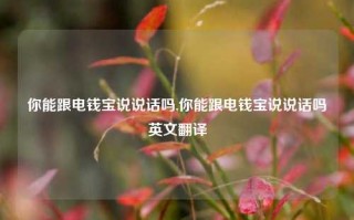 你能跟电钱宝说说话吗,你能跟电钱宝说说话吗英文翻译