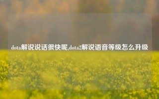 dota解说说话很快呢,dota2解说语音等级怎么升级