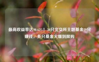 最高收益率达90.63%！30只北交所主题基金29只赚钱，多只基金火爆到限购