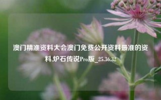 澳门精准资料大会澳门免费公开资料最准的资料,炉石传说Pro版_25.36.32