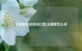 王靖雯说说话对口型,王靖雯怎么说