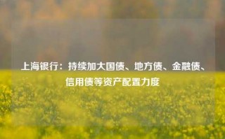 上海银行：持续加大国债、地方债、金融债、信用债等资产配置力度