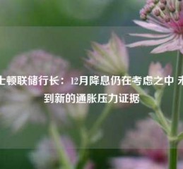 波士顿联储行长：12月降息仍在考虑之中 未看到新的通胀压力证据