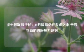 波士顿联储行长：12月降息仍在考虑之中 未看到新的通胀压力证据