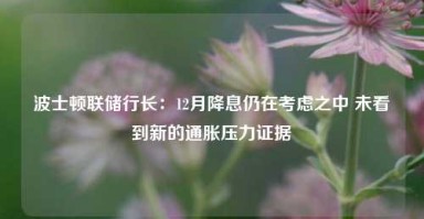 波士顿联储行长：12月降息仍在考虑之中 未看到新的通胀压力证据