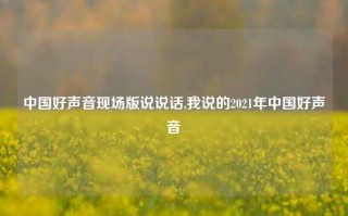 中国好声音现场版说说话,我说的2021年中国好声音