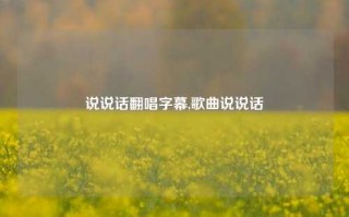 说说话翻唱字幕,歌曲说说话