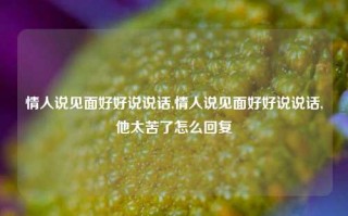 情人说见面好好说说话,情人说见面好好说说话,他太苦了怎么回复