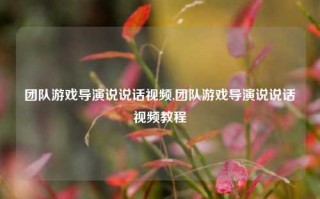 团队游戏导演说说话视频,团队游戏导演说说话视频教程