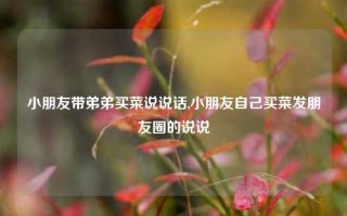 小朋友带弟弟买菜说说话,小朋友自己买菜发朋友圈的说说