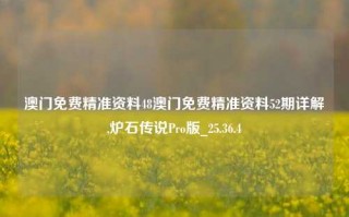 澳门免费精准资料48澳门免费精准资料52期详解,炉石传说Pro版_25.36.4