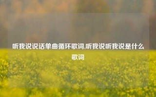 听我说说话单曲循环歌词,听我说听我说是什么歌词