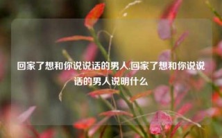 回家了想和你说说话的男人,回家了想和你说说话的男人说明什么