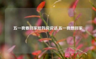 五一我要回家陪妈说说话,五一我想回家