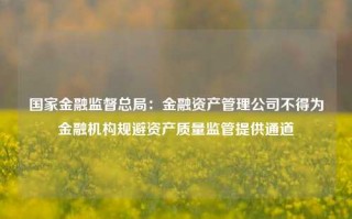 国家金融监督总局：金融资产管理公司不得为金融机构规避资产质量监管提供通道