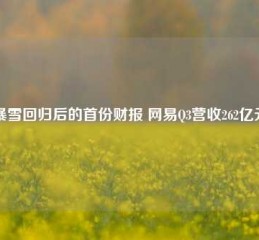 暴雪回归后的首份财报 网易Q3营收262亿元