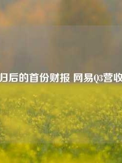 暴雪回归后的首份财报 网易Q3营收262亿元