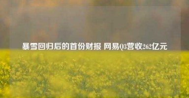 暴雪回归后的首份财报 网易Q3营收262亿元