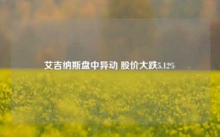 艾吉纳斯盘中异动 股价大跌5.12%