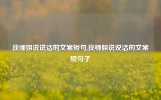 找师姐说说话的文案短句,找师姐说说话的文案短句子